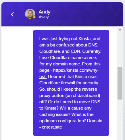 kinsta dns chat query