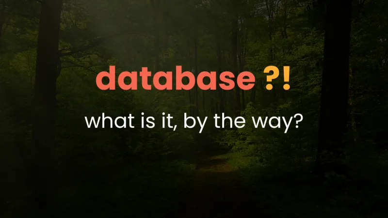 What is a Database, by the way?